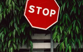 red and white Stop road sign near green tree